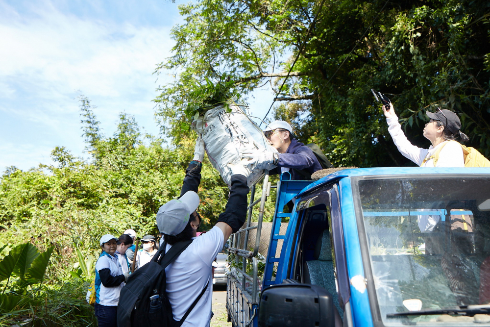 友達串聯志工組成水環境巡守隊，針對霄裡溪沿岸3公里的小花蔓澤蘭，定期進行移除與防治工作